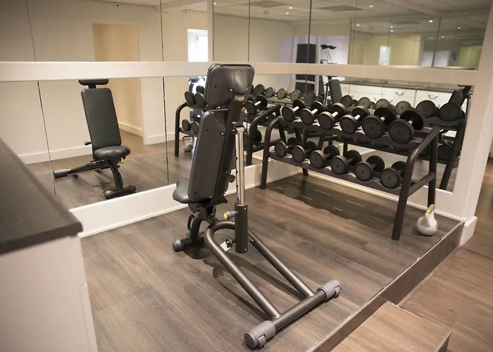 Apollo Amsterdam, A Tribute Portfolio